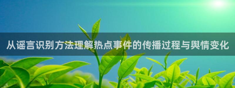 最新网络热点