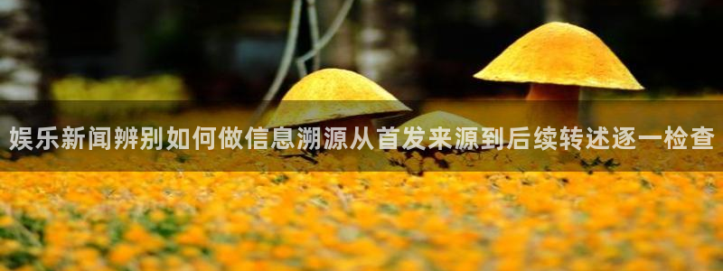 网络吃瓜